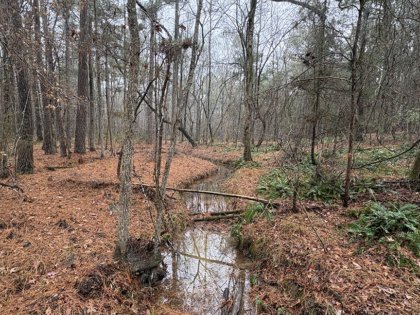 lands legacy program conservation easement 