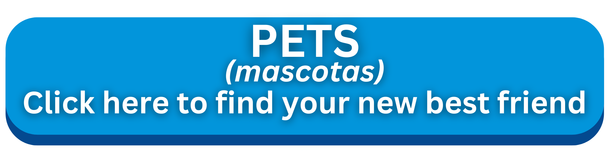 Pets. Click here to find your new best friend.
