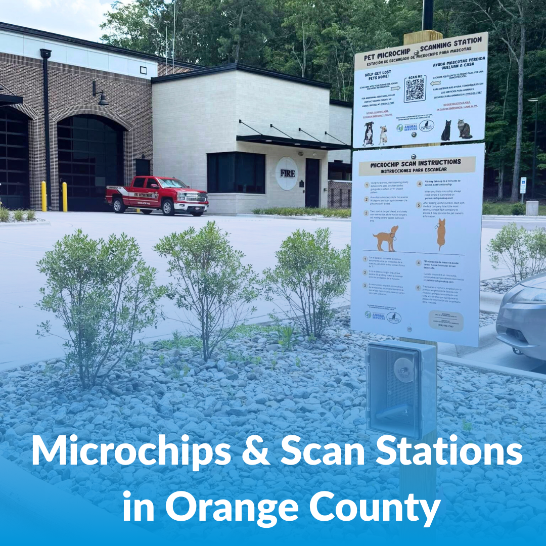 Microchips and Scan Stations in Orange County