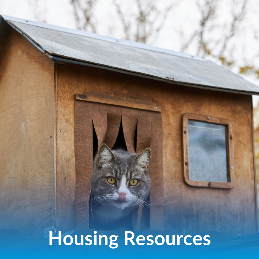 Housing Assistance
