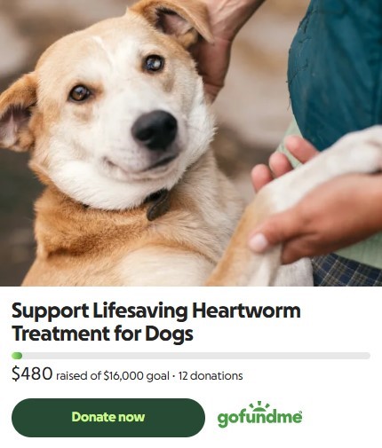 Use GoFundMe to donate to lifesaving heartworm treatments for shelter pets. 