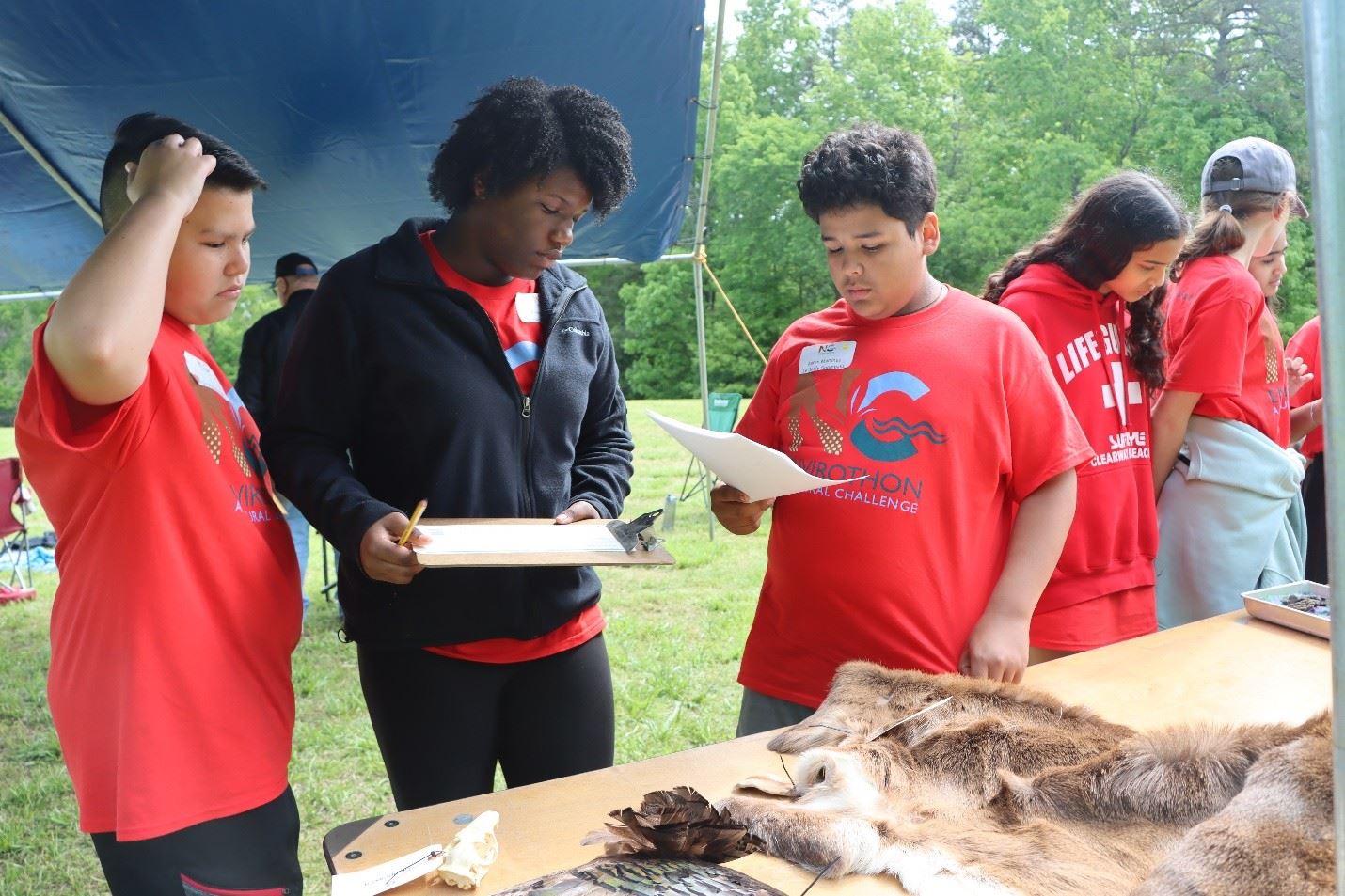 Students Study Wildlife Specimens. 