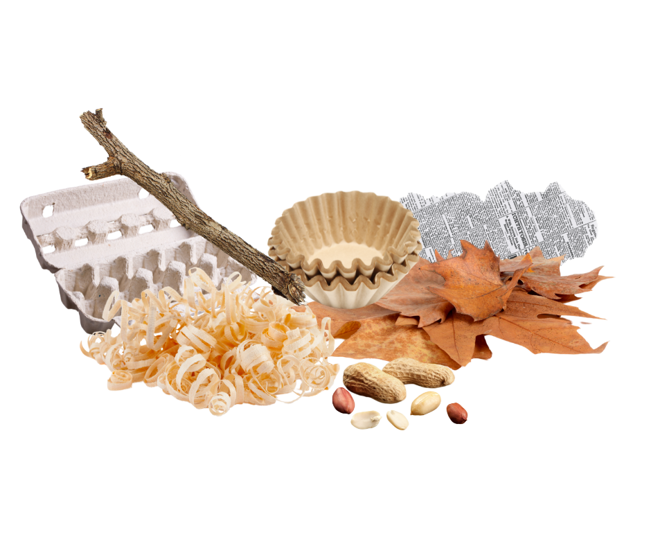 Wood shavings, an egg carton, a stick, coffee filters, brown leaves, nut shells, and newspaper