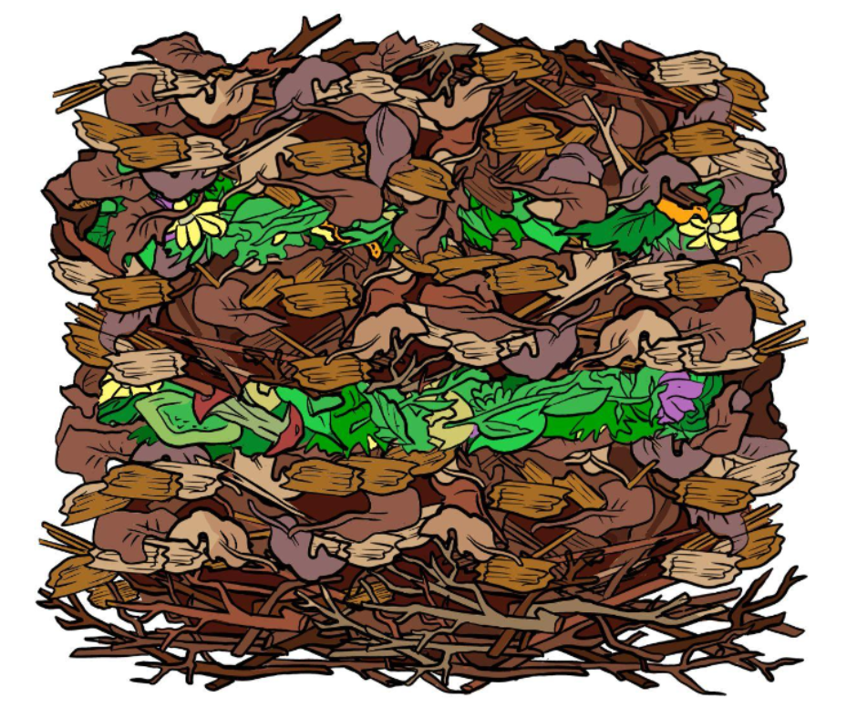 Food scraps layered within brown leaves