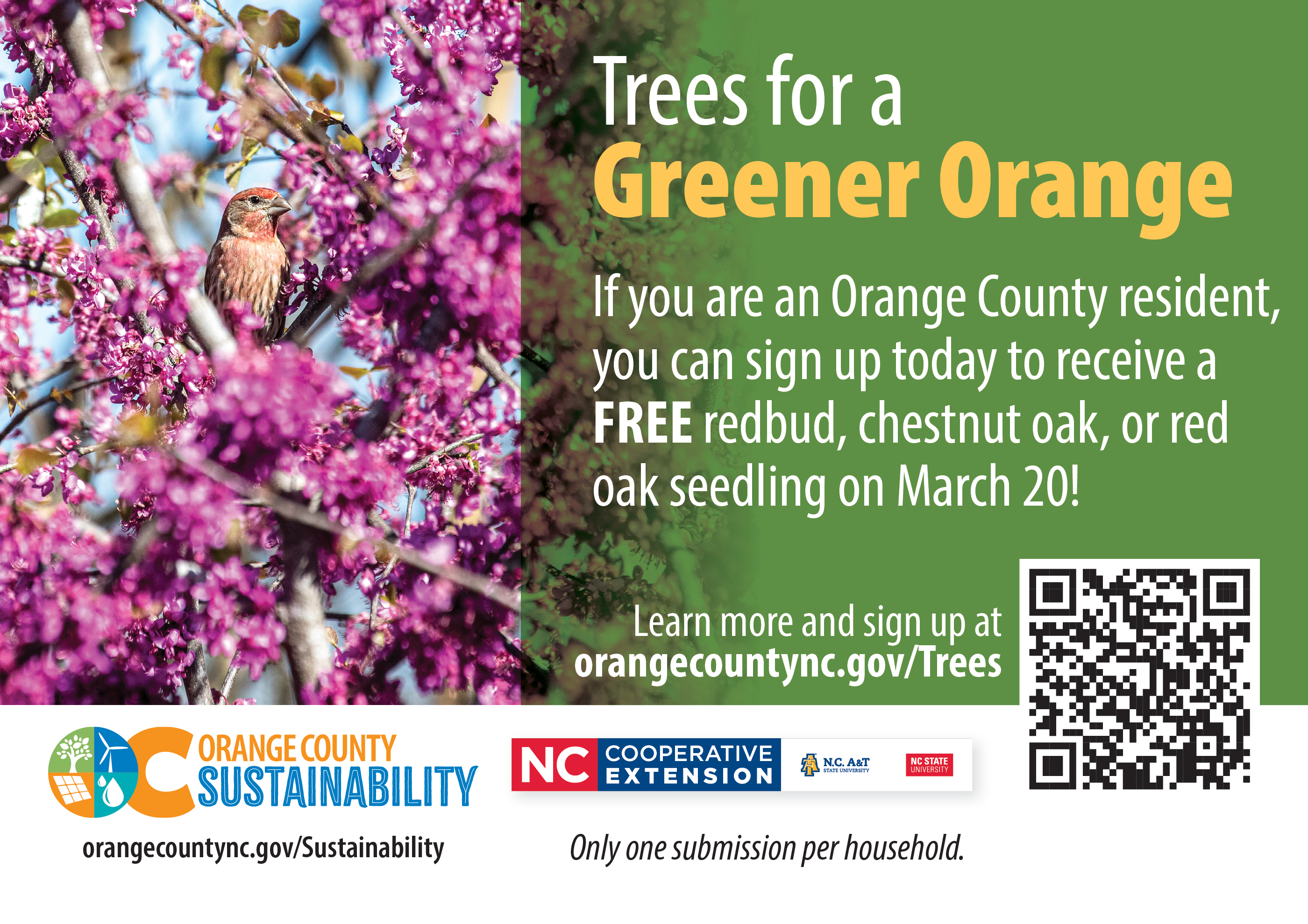 TREES FOR A GREENER ORANGE. Tree giveaway on March 20. Click on link to get more information.