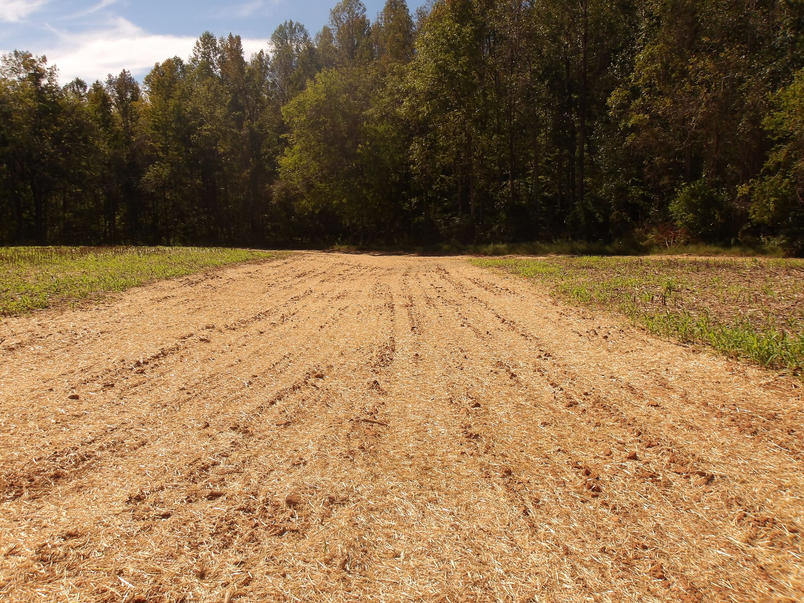 Cost Share Program Photo